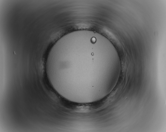 X0000094220362200711091300