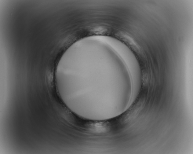 X0000094220365200711091300