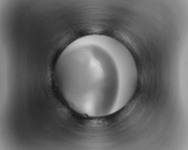 X0000094220366200711091300