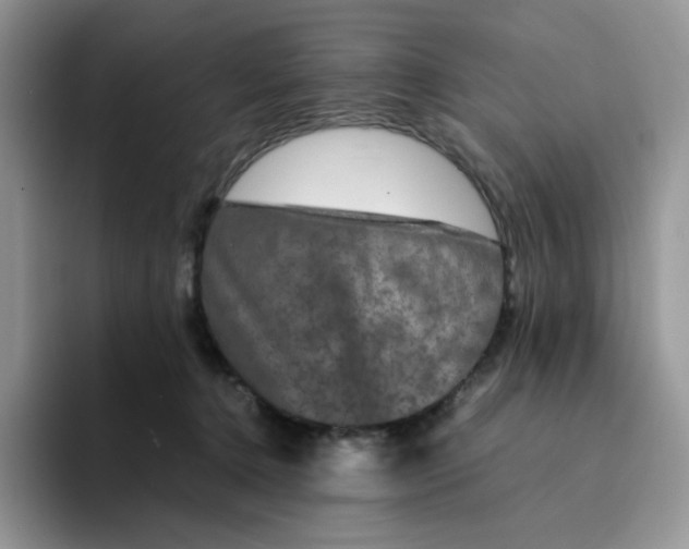 X0000094220368200711091300