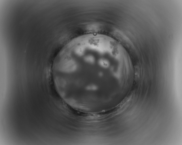 X0000094220369200711091300