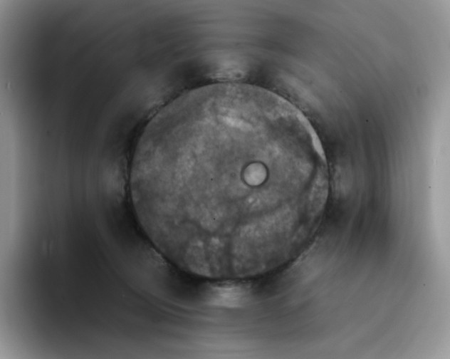 X0000094220370200711091300