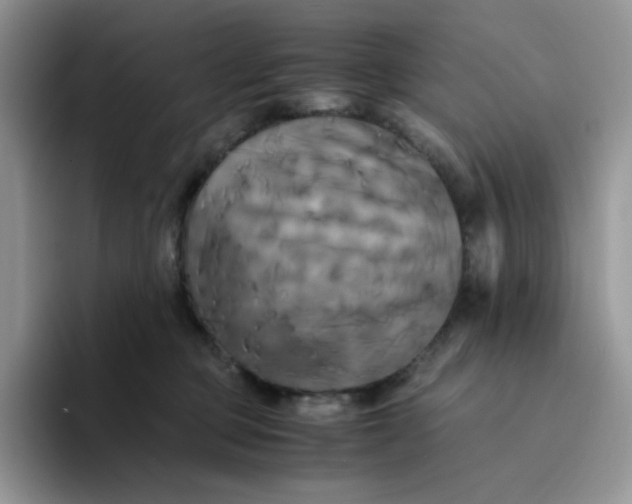 X0000094220373200711091300