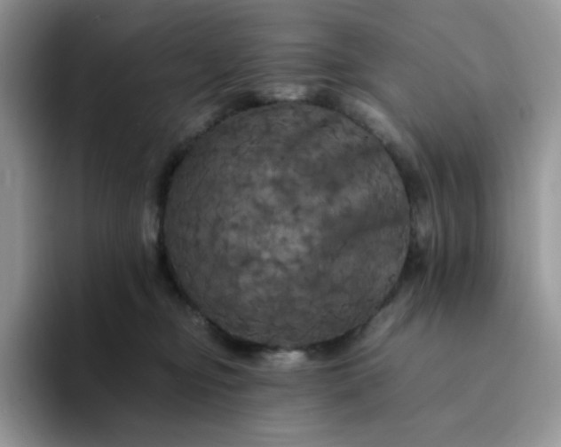 X0000094220374200711091300