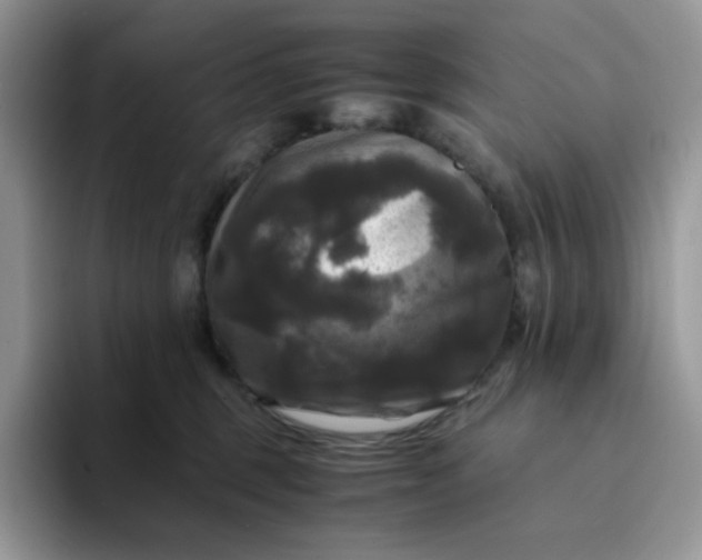 X0000094220375200711091300