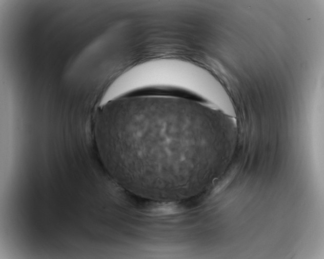 X0000094220377200711091300