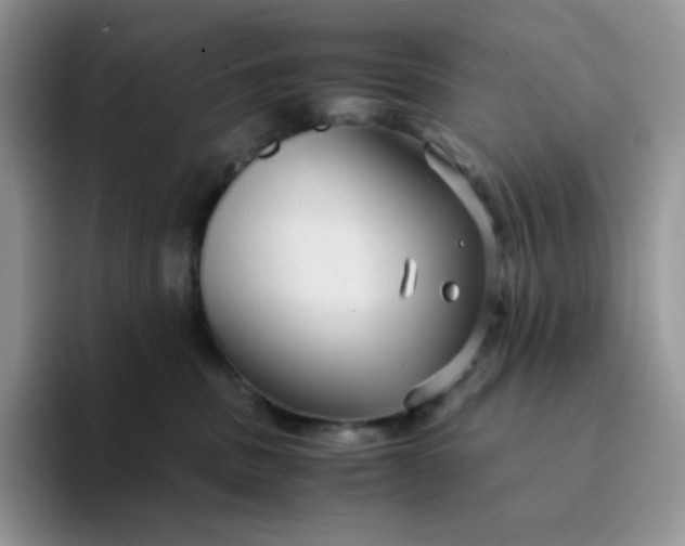 X0000094220379200711091300