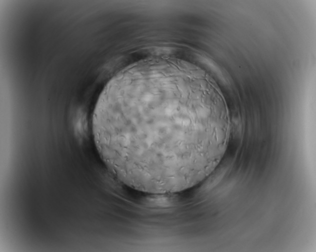 X0000094220381200711091300