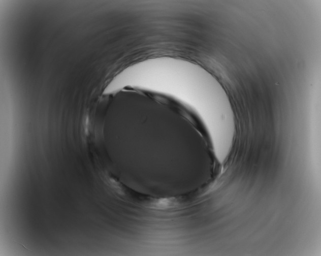 X0000094220382200711091300