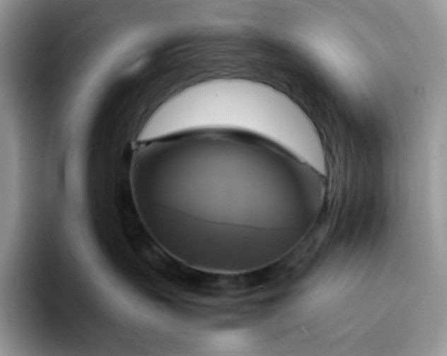 X0000094220383200711091300