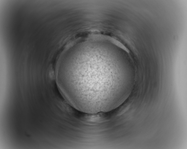 X0000094220384200711091300