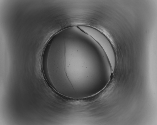 X0000094220385200711091300