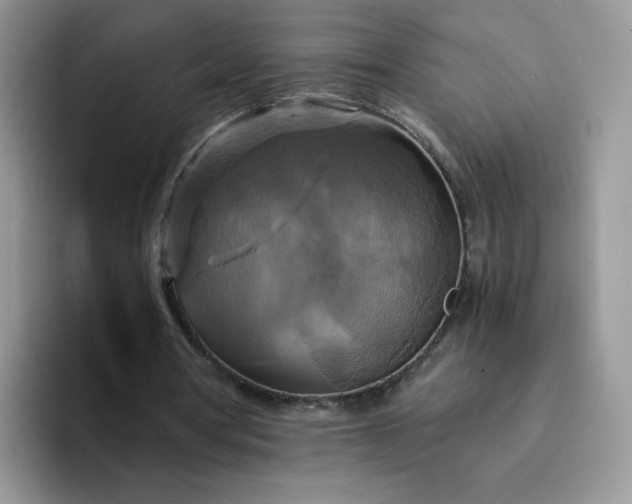 X0000094220386200711091300