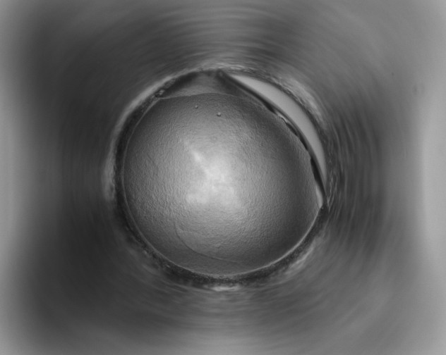 X0000094220388200711091300