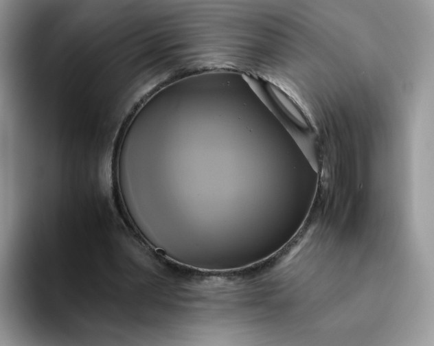 X0000094220390200711091300