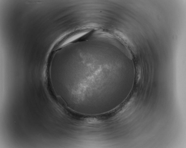 X0000094220392200711091300