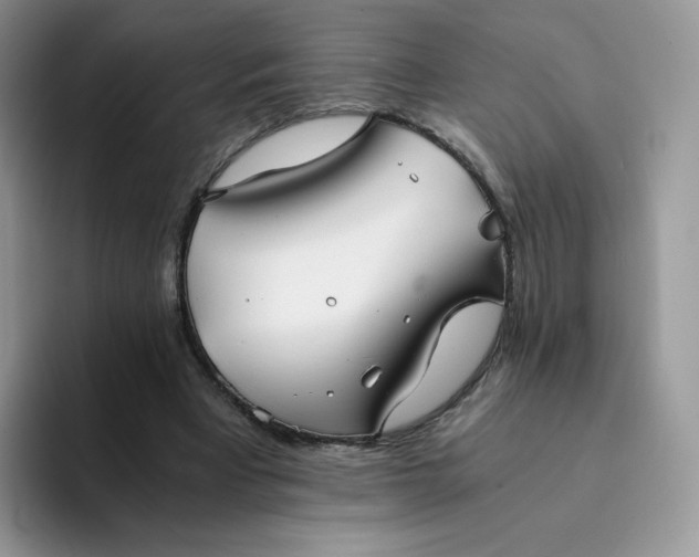 X0000094220393200711091300