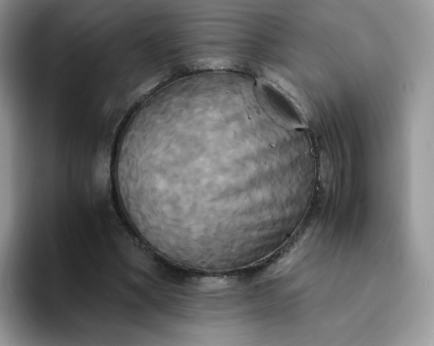 X0000094220394200711091300