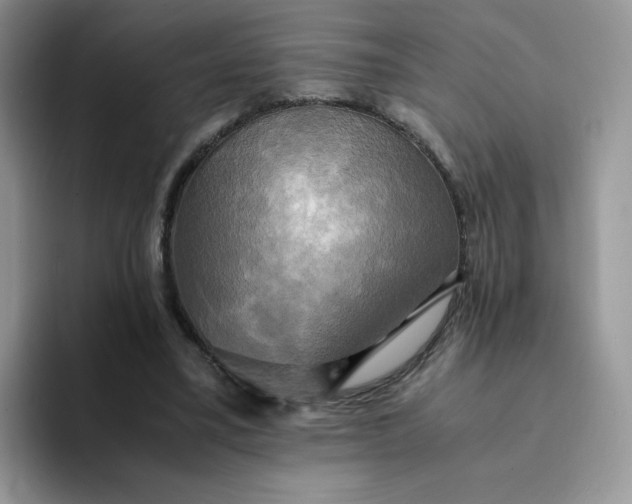 X0000094220395200711091300