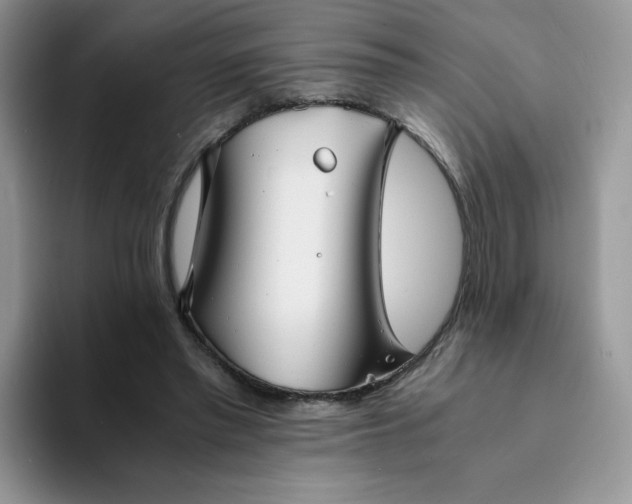 X0000094220397200711091259