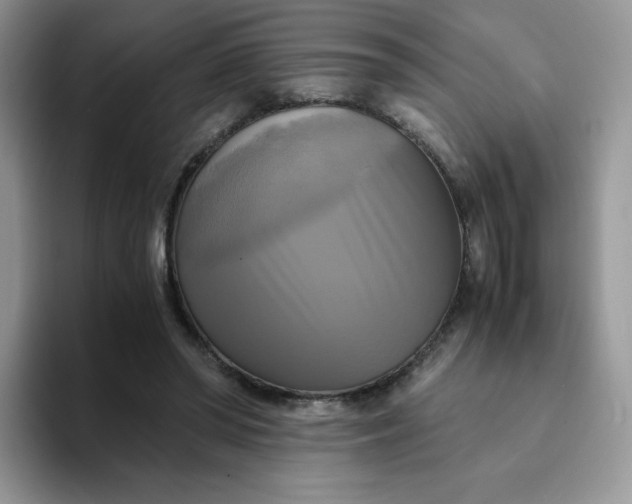 X0000094220398200711091259