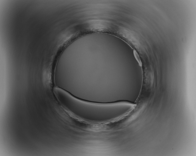 X0000094220399200711091259