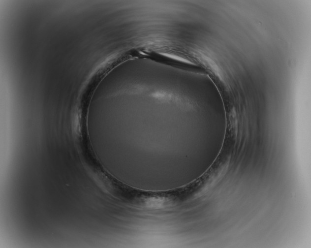 X0000094220400200711091259