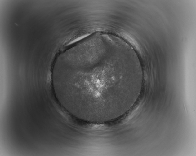 X0000094220401200711091259