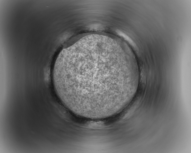 X0000094220403200711091259