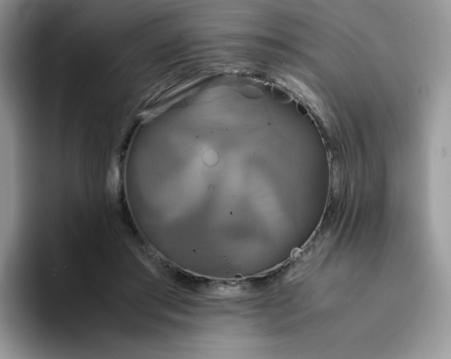 X0000094220405200711091259