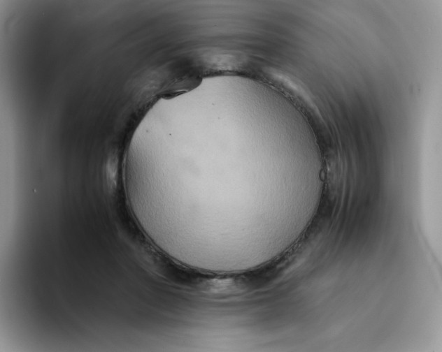 X0000094220406200711091259