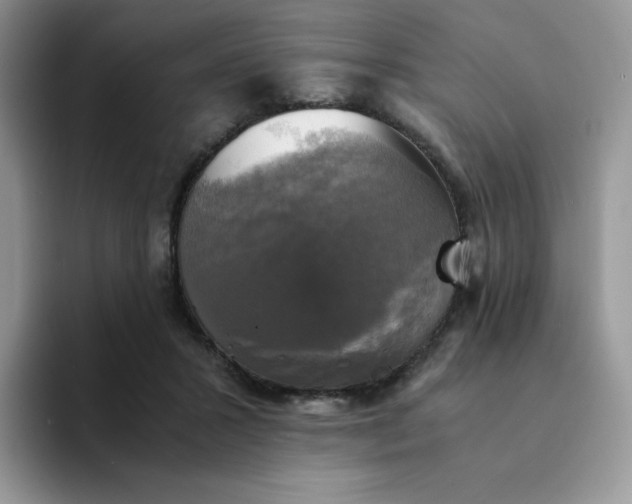 X0000094220407200711091259