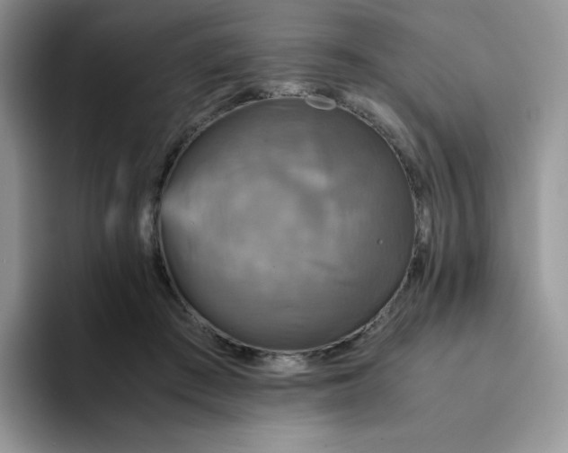 X0000094220409200711091259