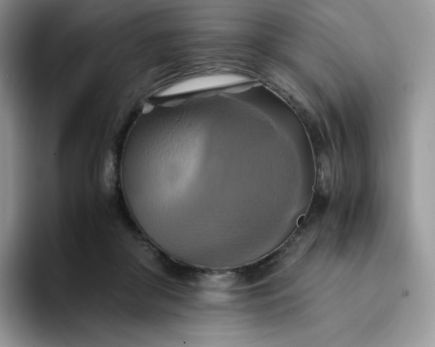 X0000094220410200711091259