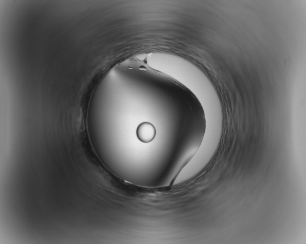 X0000094220411200711091259