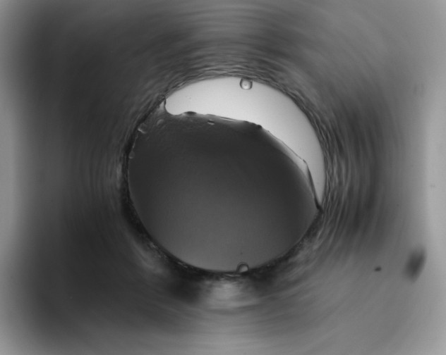 X0000094220412200711091259