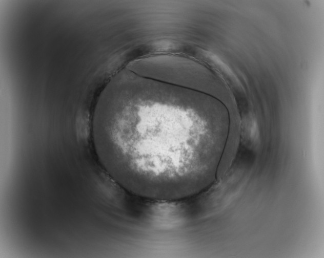 X0000094220413200711091259