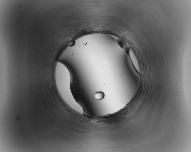 X0000094220415200711091259