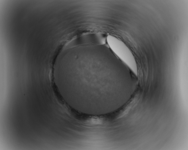 X0000094220416200711091259