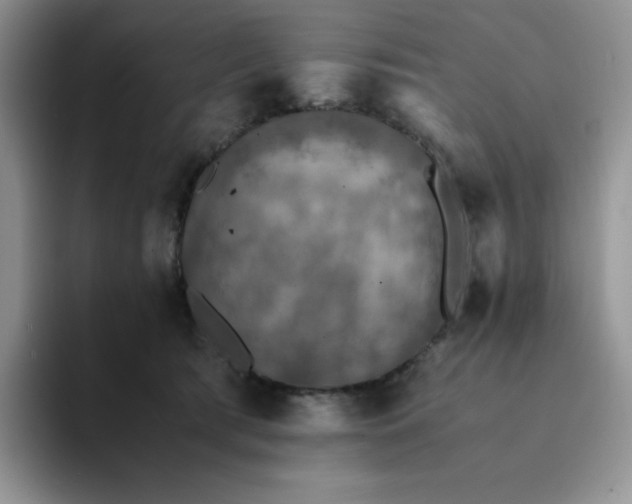 X0000094220417200711091259