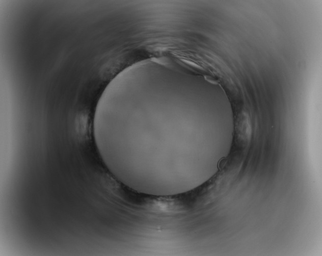 X0000094220420200711091259