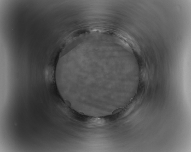 X0000094220421200711091259