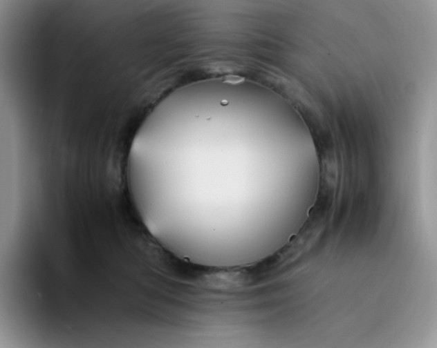 X0000094220422200711091259