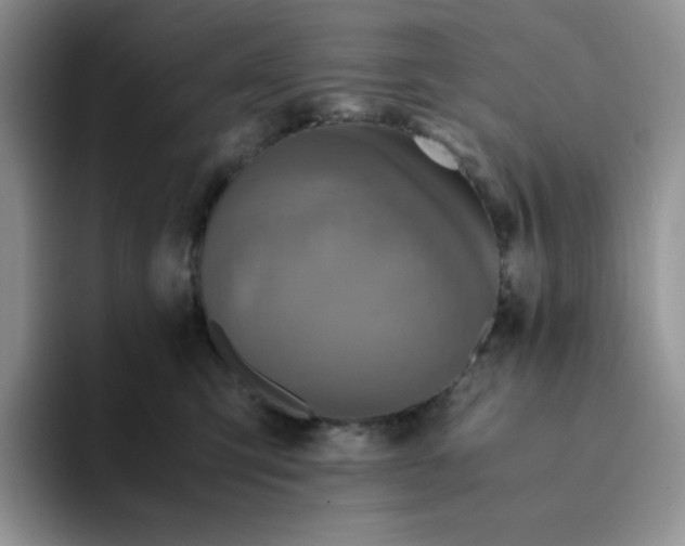 X0000094220423200711091259