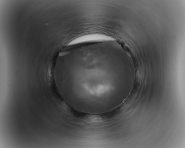 X0000094220424200711091259