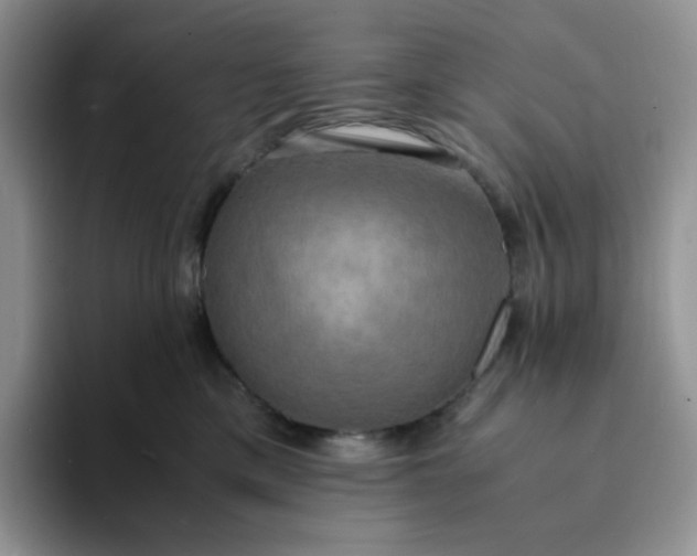 X0000094220425200711091259