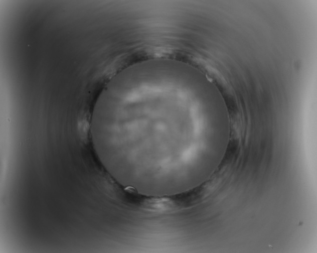 X0000094220427200711091259