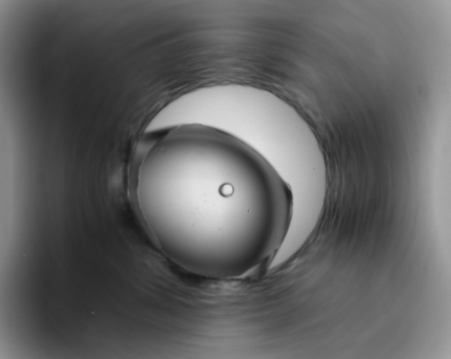 X0000094220428200711091259