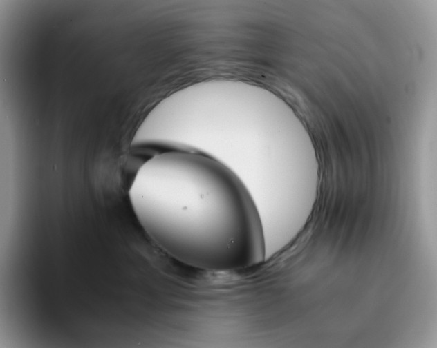 X0000094220429200711091259