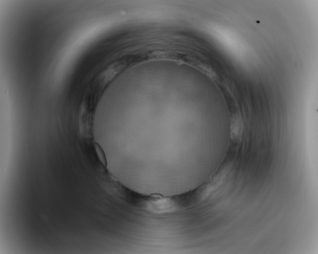 X0000094220431200711091259